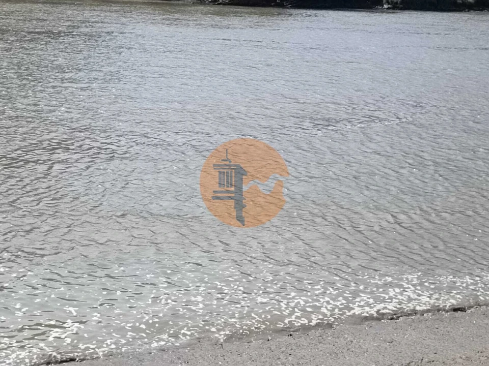 Terreno para Venda em Alcoutim e Pereiro Foto 19