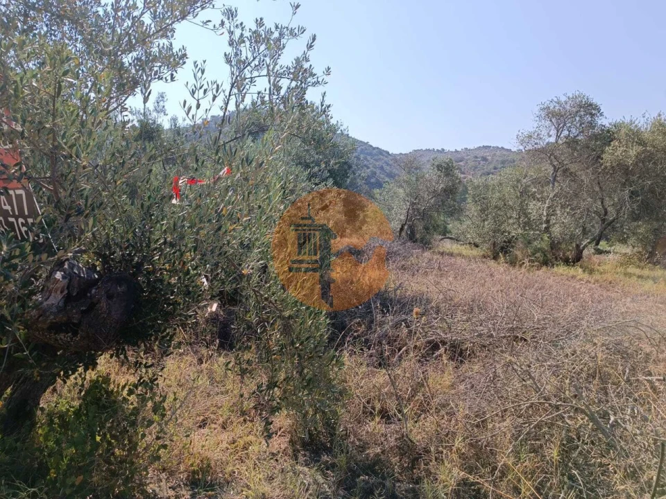 Terreno para Venda em Alcoutim e Pereiro Foto 23