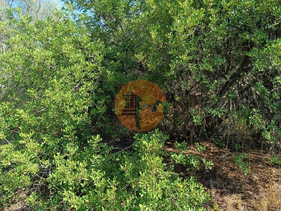 Terreno para Venda em Alcoutim e Pereiro Foto 24