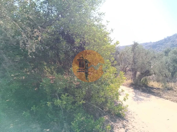 Terreno para Venda em Alcoutim e Pereiro Foto 6