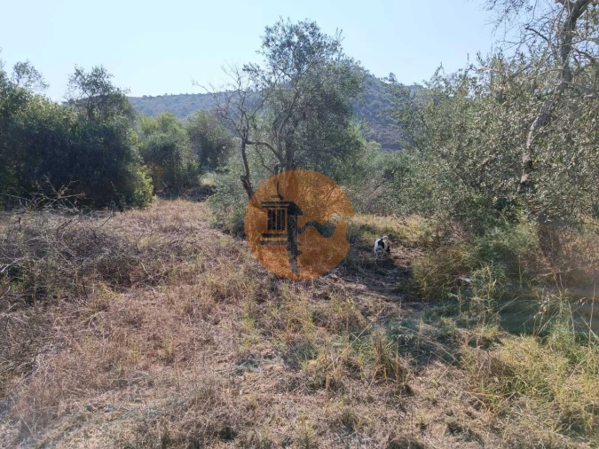 Terreno para Venda em Alcoutim e Pereiro Foto 8