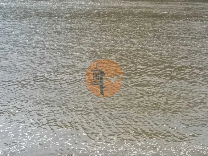 Terreno para Venda em Alcoutim e Pereiro Foto 9