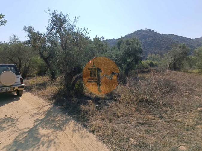 Terreno para Venda em Alcoutim e Pereiro Foto 12