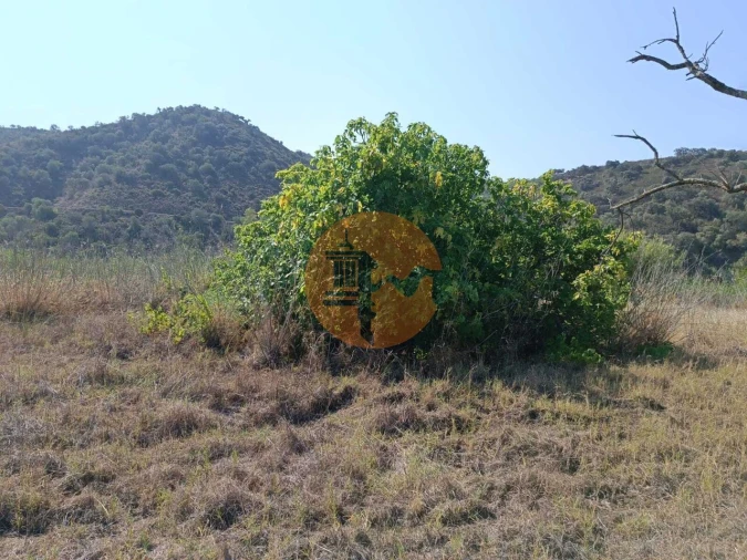 Terreno para Venda em Alcoutim e Pereiro Foto 17
