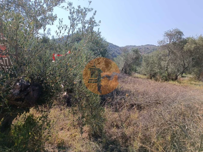 Terreno para Venda em Alcoutim e Pereiro Foto 23