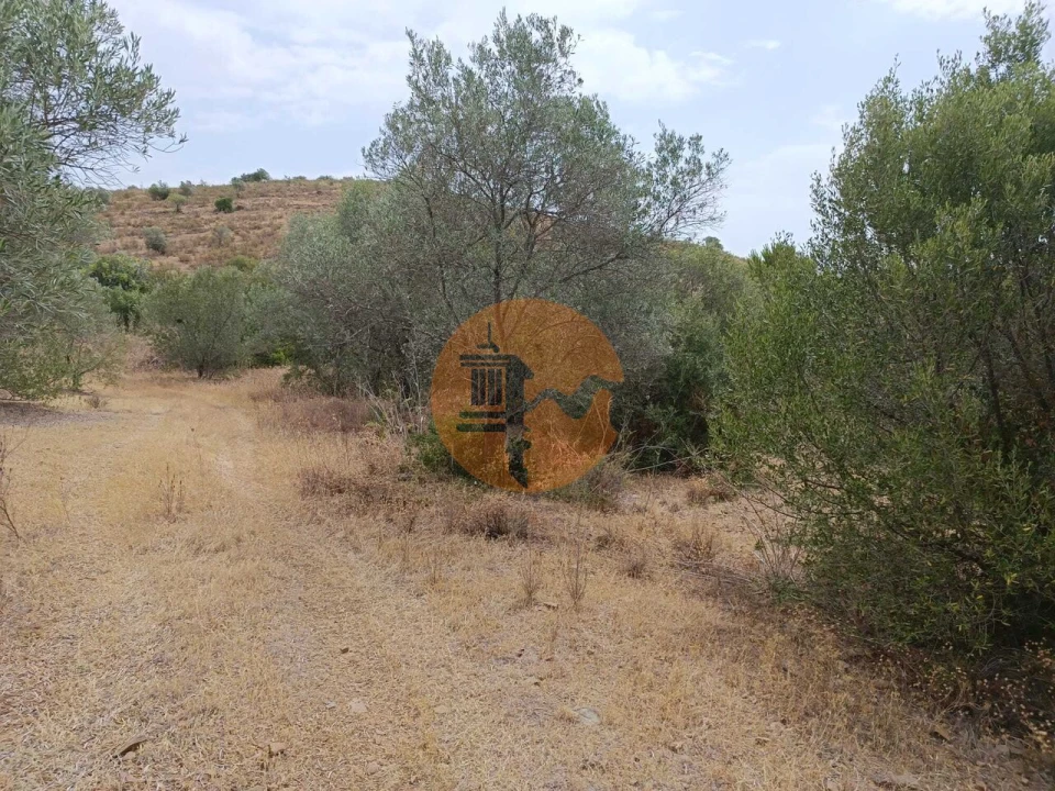 Terreno para Venda em Alcoutim e Pereiro Foto 2