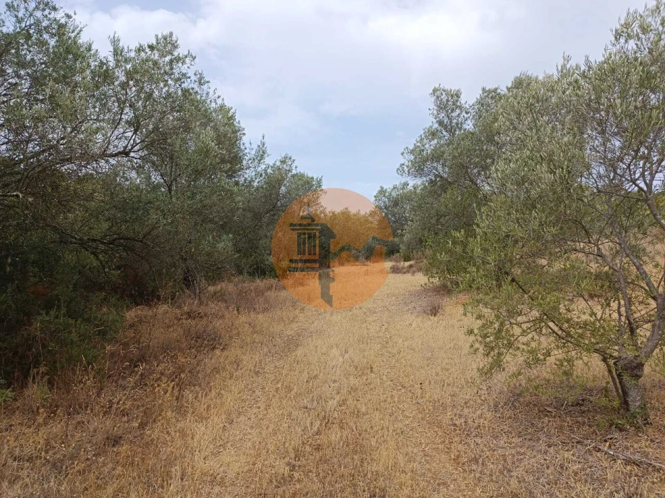 Terreno para Venda em Alcoutim e Pereiro Foto 5