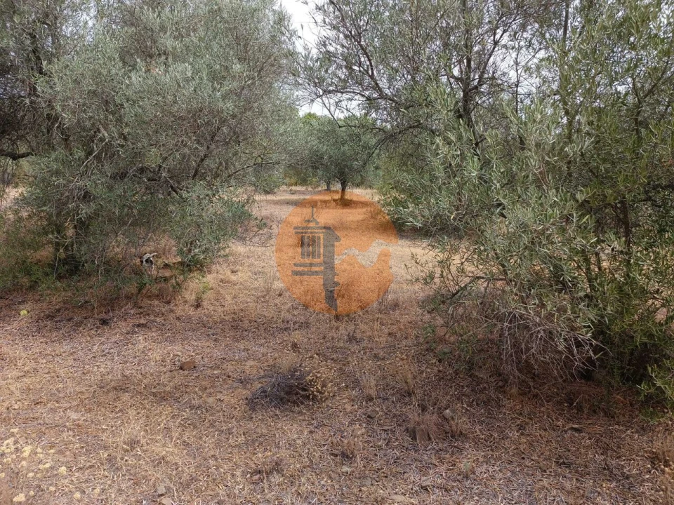 Terreno para Venda em Alcoutim e Pereiro Foto 12