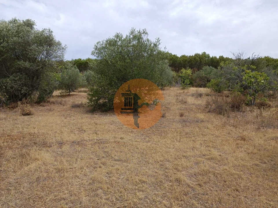 Terreno para Venda em Alcoutim e Pereiro Foto 14