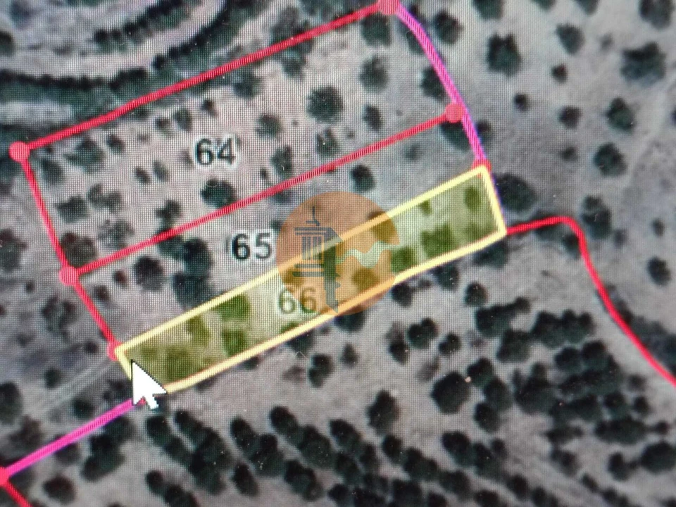 Terreno para Venda em Alcoutim e Pereiro Foto 3