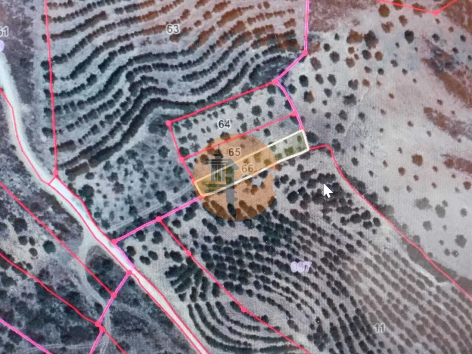 Terreno para Venda em Alcoutim e Pereiro Foto 21