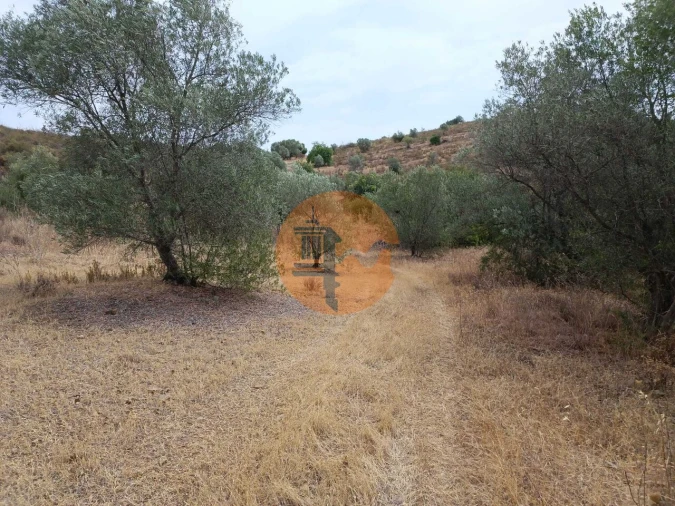 Terreno para Venda em Alcoutim e Pereiro Foto 4