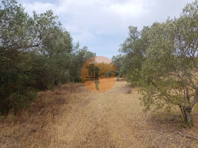 Terreno para Venda em Alcoutim e Pereiro Foto 5