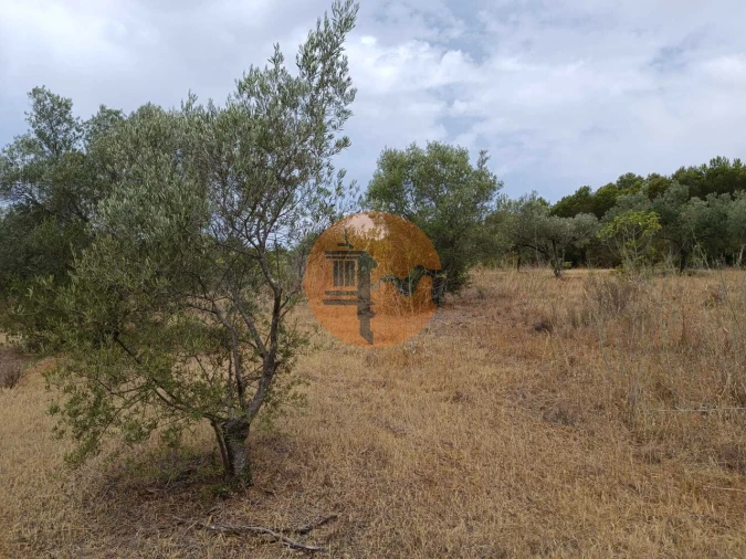 Terreno para Venda em Alcoutim e Pereiro Foto 8