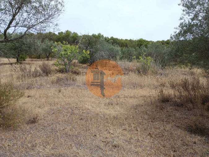 Terreno para Venda em Alcoutim e Pereiro Foto 15