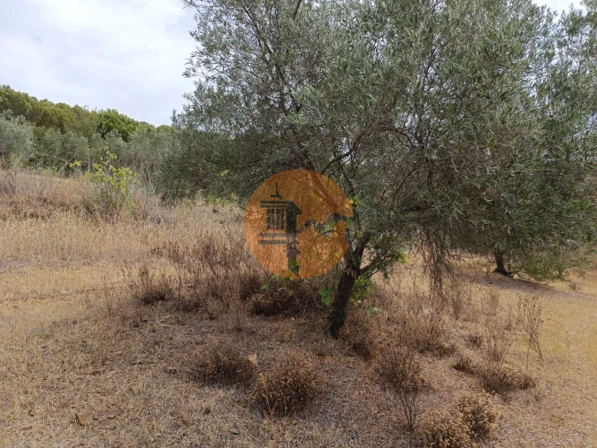 Terreno para Venda em Alcoutim e Pereiro Foto 17