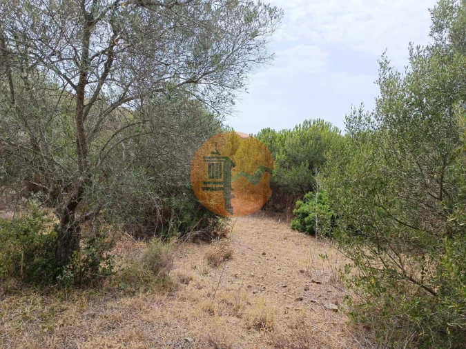 Terreno para Venda em Alcoutim e Pereiro Foto 18