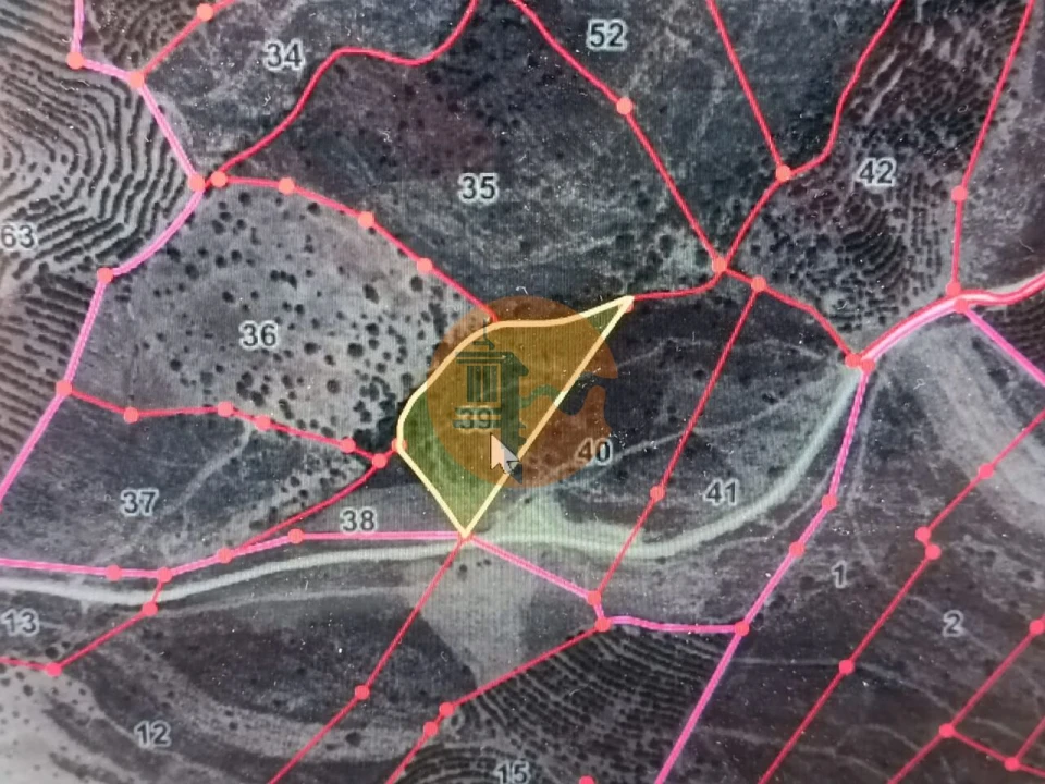 Terreno para Venda em Alcoutim e Pereiro Foto 22