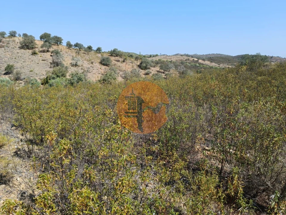 Terreno para Venda em Alcoutim e Pereiro Foto 10
