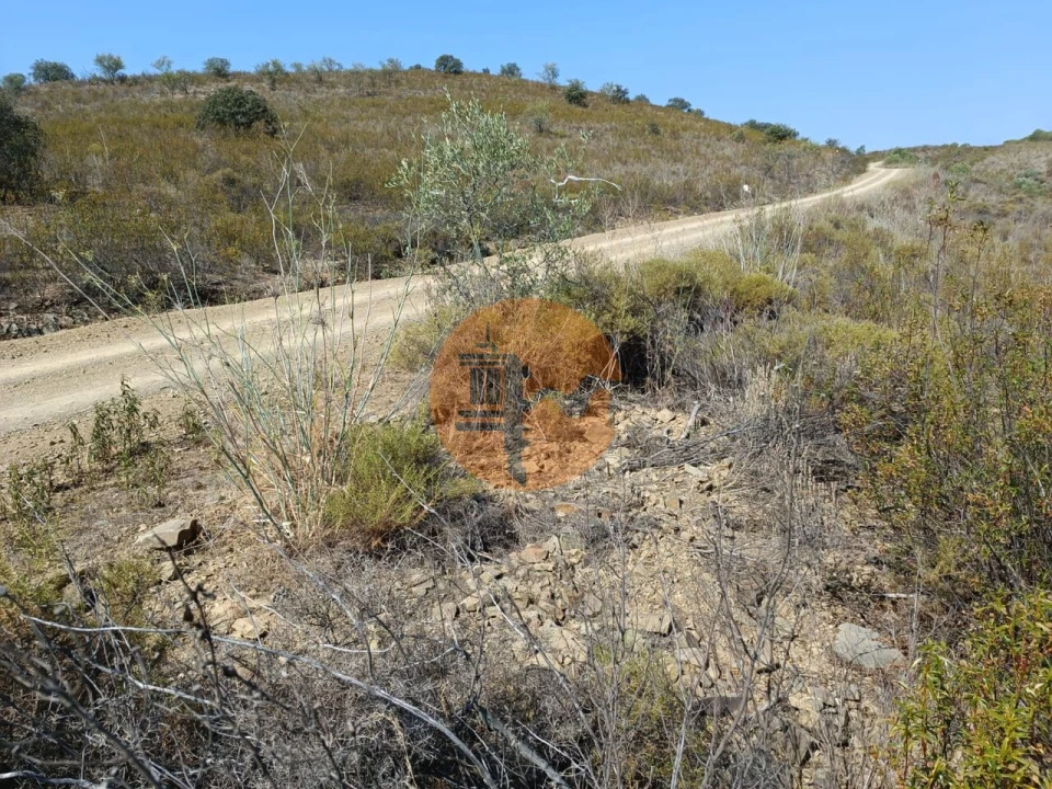 Terreno para Venda em Alcoutim e Pereiro Foto 3