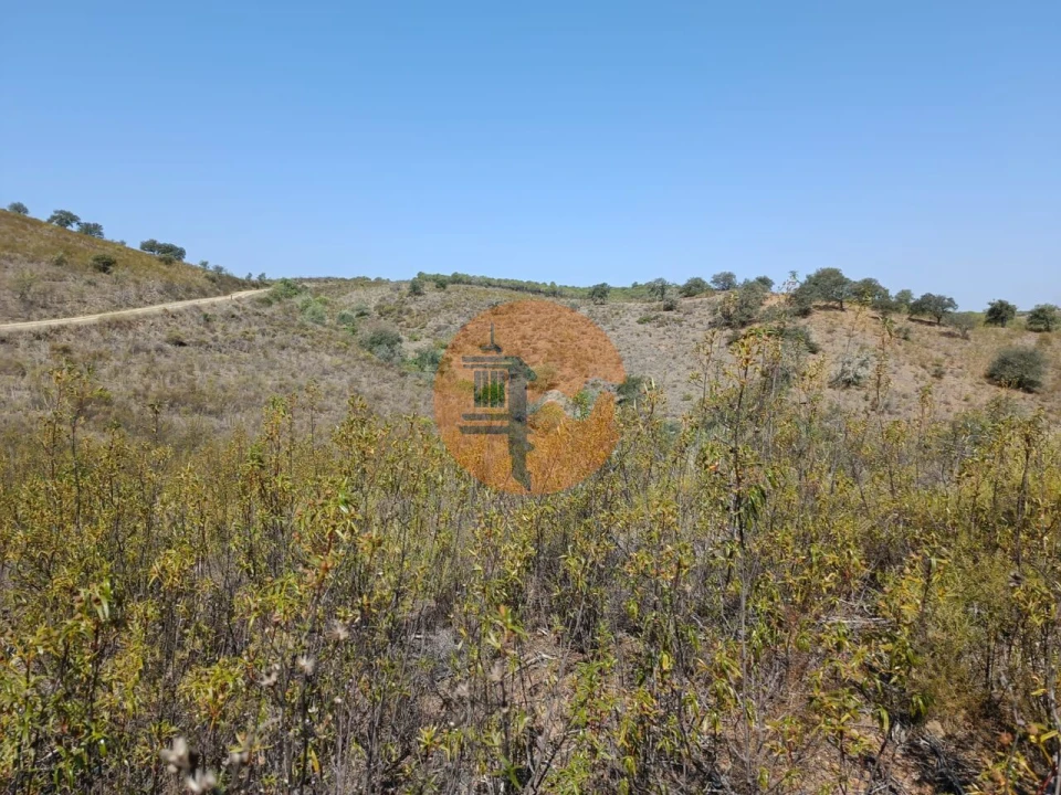 Terreno para Venda em Alcoutim e Pereiro Foto 11
