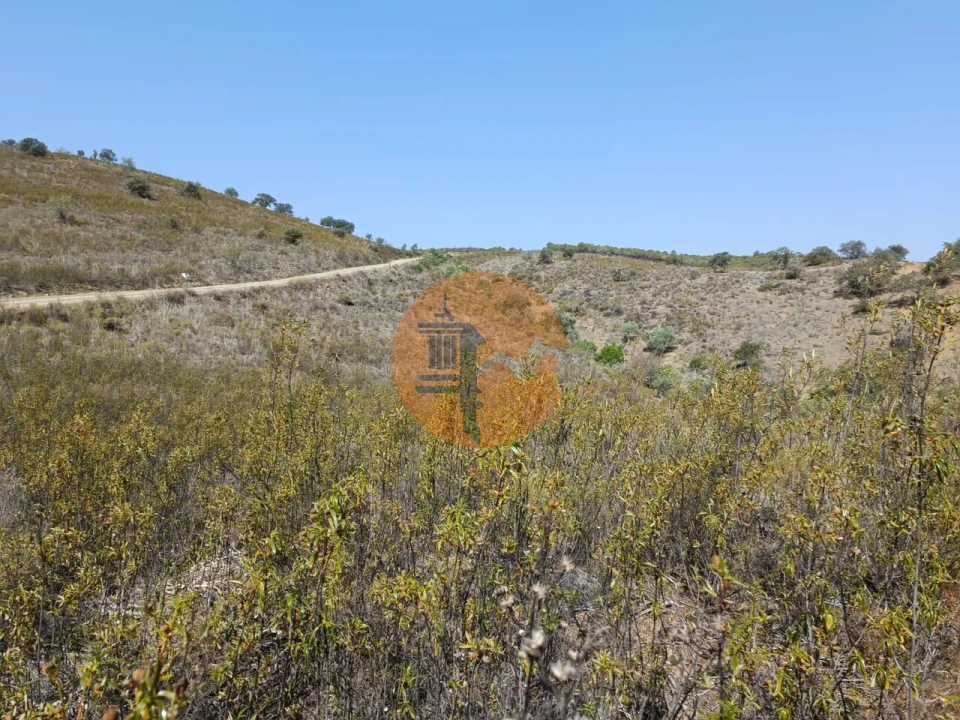 Terreno para Venda em Alcoutim e Pereiro Foto 12