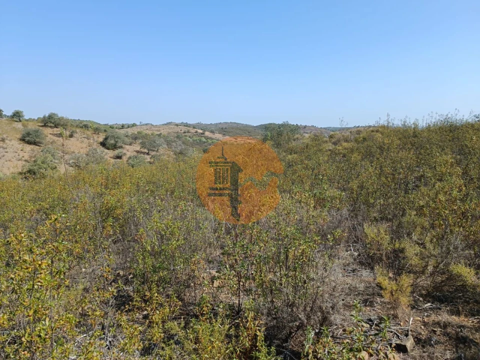 Terreno para Venda em Alcoutim e Pereiro Foto 13