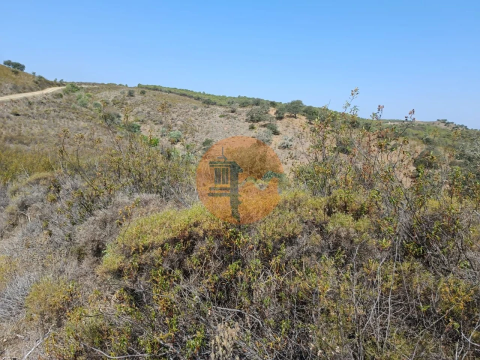 Terreno para Venda em Alcoutim e Pereiro Foto 15