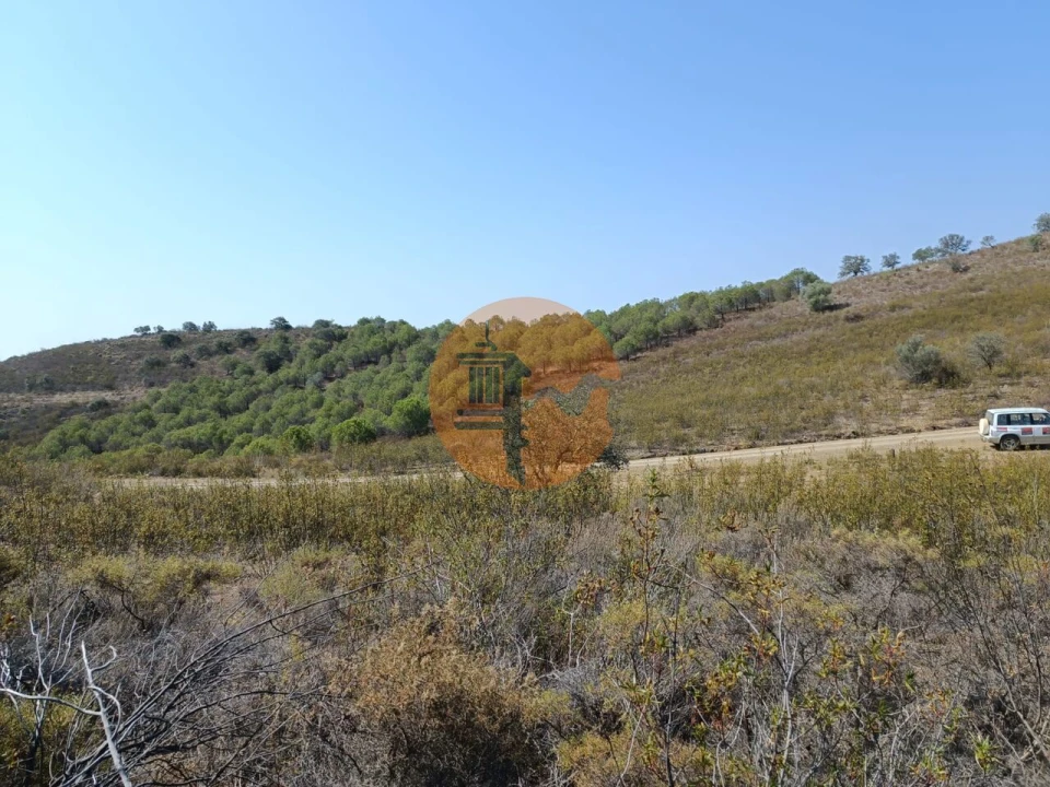 Terreno para Venda em Alcoutim e Pereiro Foto 16