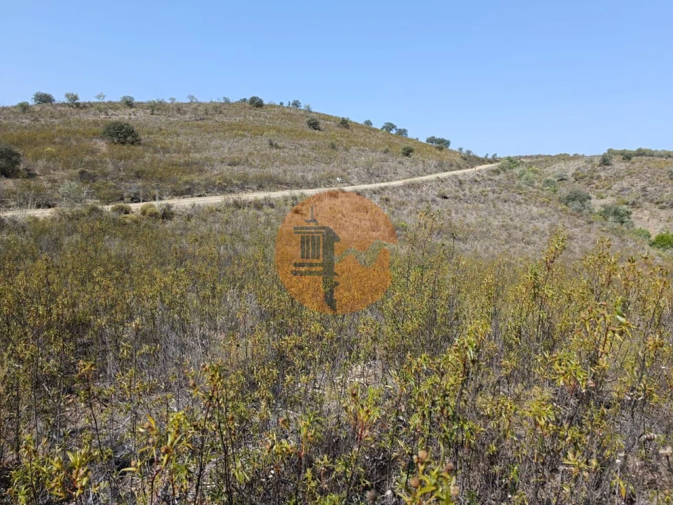 Terreno para Venda em Alcoutim e Pereiro Foto 17