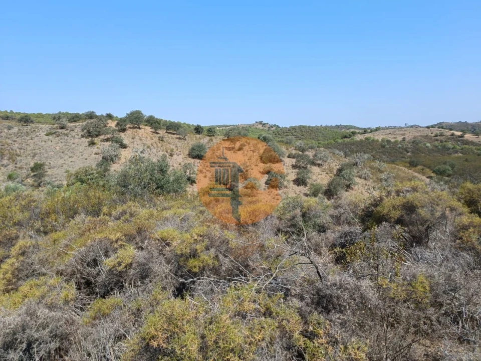 Terreno para Venda em Alcoutim e Pereiro Foto 20