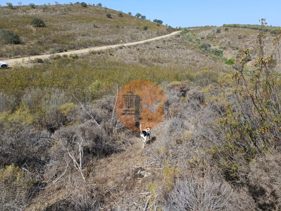 Terreno para Venda em Alcoutim e Pereiro Foto 21
