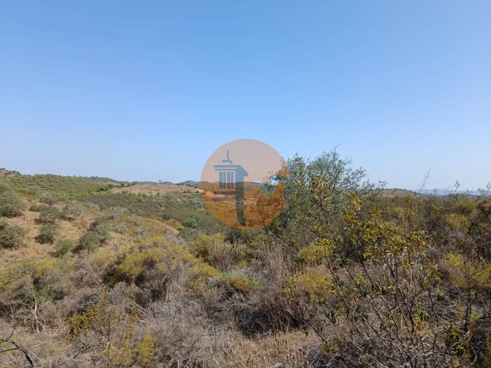 Terreno para Venda em Alcoutim e Pereiro Foto 5