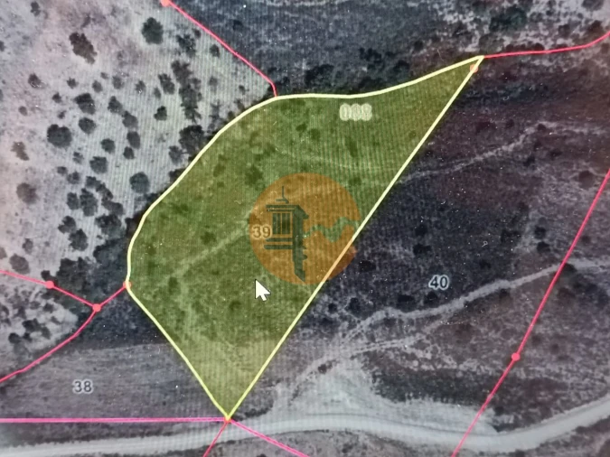Terreno para Venda em Alcoutim e Pereiro Foto 2