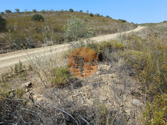 Terreno para Venda em Alcoutim e Pereiro Foto 3
