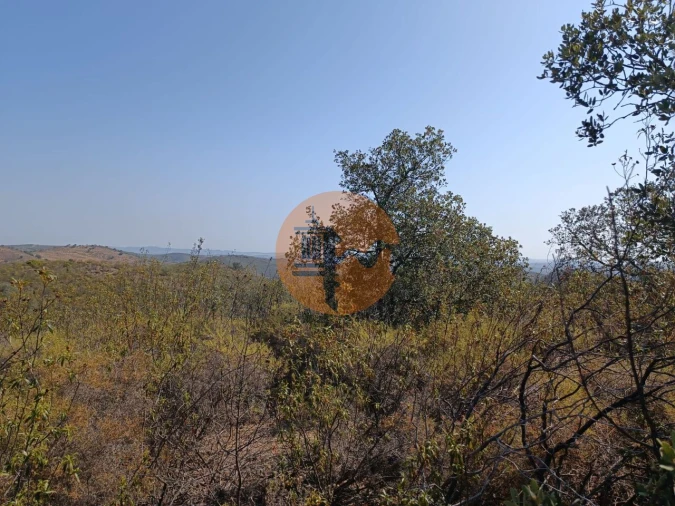 Terreno para Venda em Alcoutim e Pereiro Foto 1