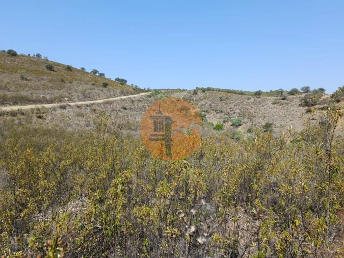 Terreno para Venda em Alcoutim e Pereiro Foto 12