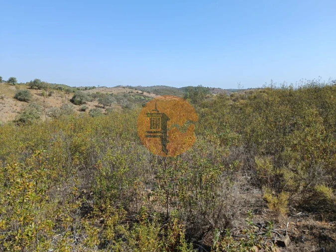 Terreno para Venda em Alcoutim e Pereiro Foto 13