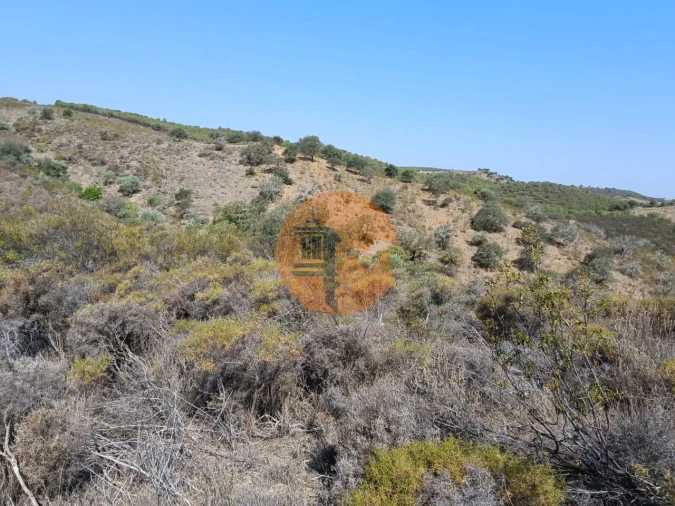 Terreno para Venda em Alcoutim e Pereiro Foto 18