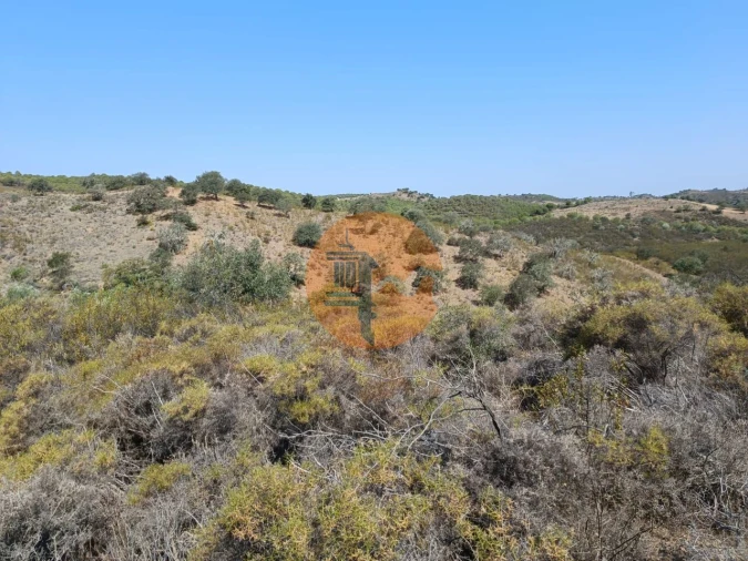 Terreno para Venda em Alcoutim e Pereiro Foto 20