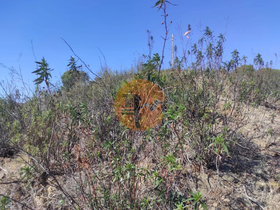Terreno para Venda em Conceição e Cabanas de Tavira Foto 25