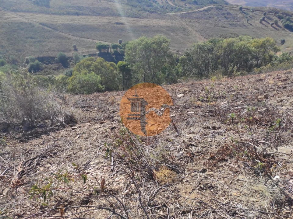 Terreno para Venda em Conceição e Cabanas de Tavira Foto 30