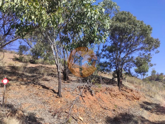 Terreno para Venda em Conceição e Cabanas de Tavira Foto 10