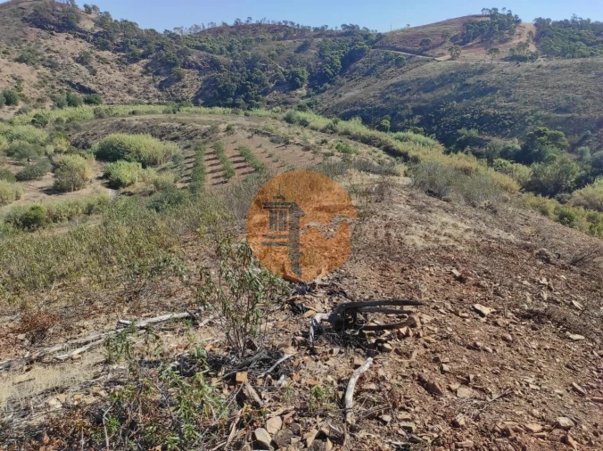 Terreno para Venda em Conceição e Cabanas de Tavira Foto 27