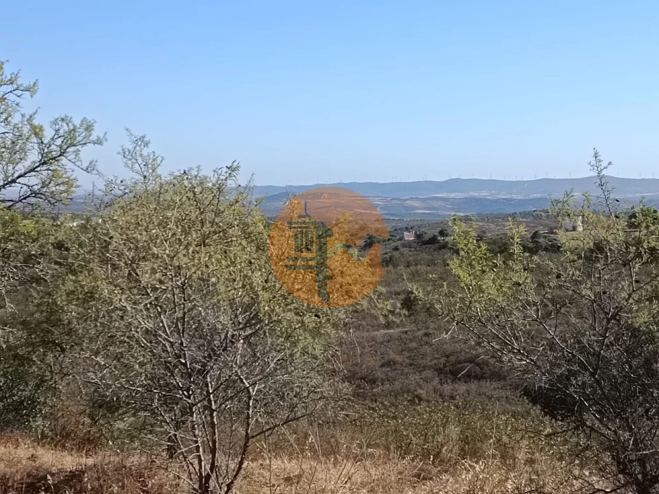Terreno para Venda em Alcoutim e Pereiro Foto 3