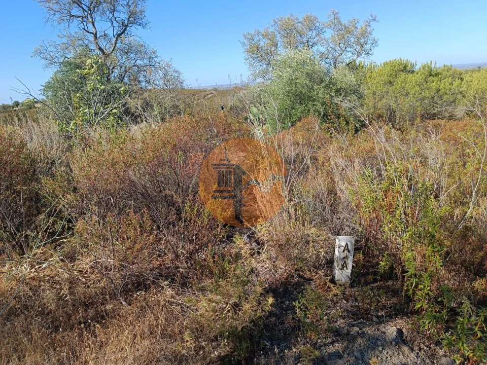 Terreno para Venda em Alcoutim e Pereiro Foto 5