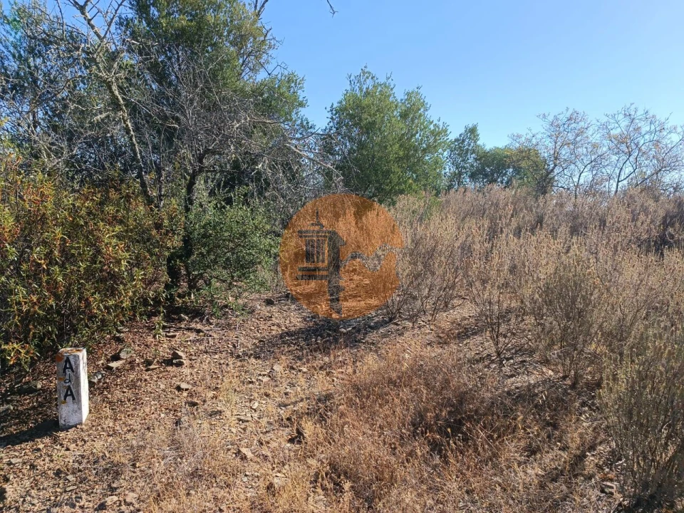 Terreno para Venda em Alcoutim e Pereiro Foto 7