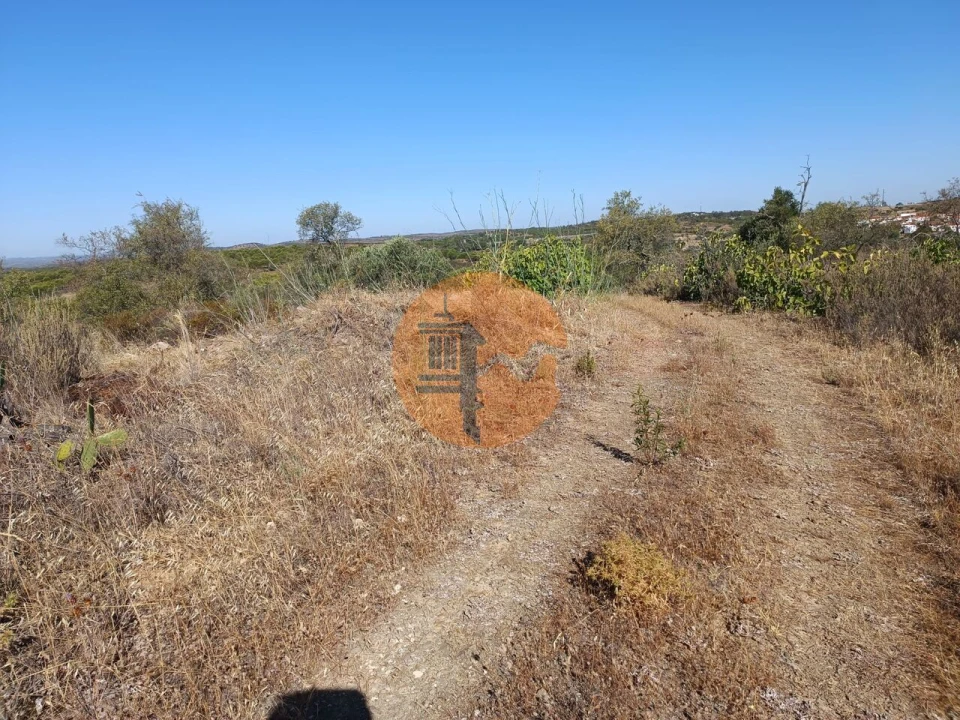 Terreno para Venda em Alcoutim e Pereiro Foto 8