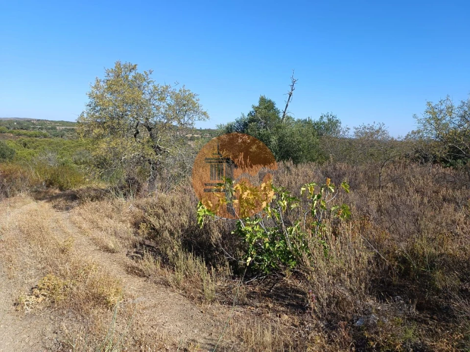 Terreno para Venda em Alcoutim e Pereiro Foto 9