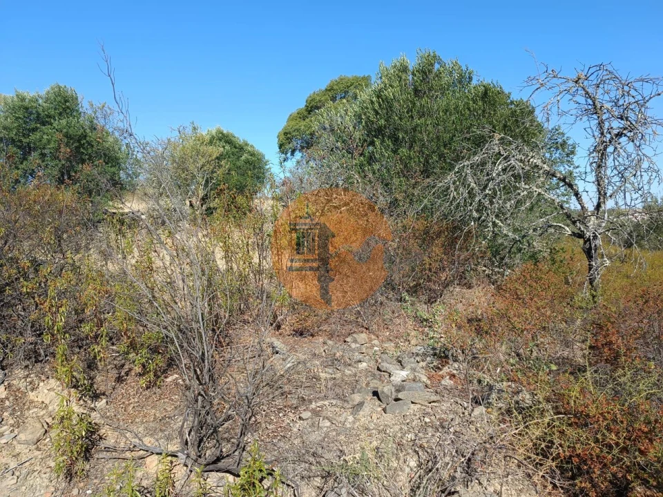 Terreno para Venda em Alcoutim e Pereiro Foto 12